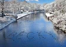 Winter River - PAM315