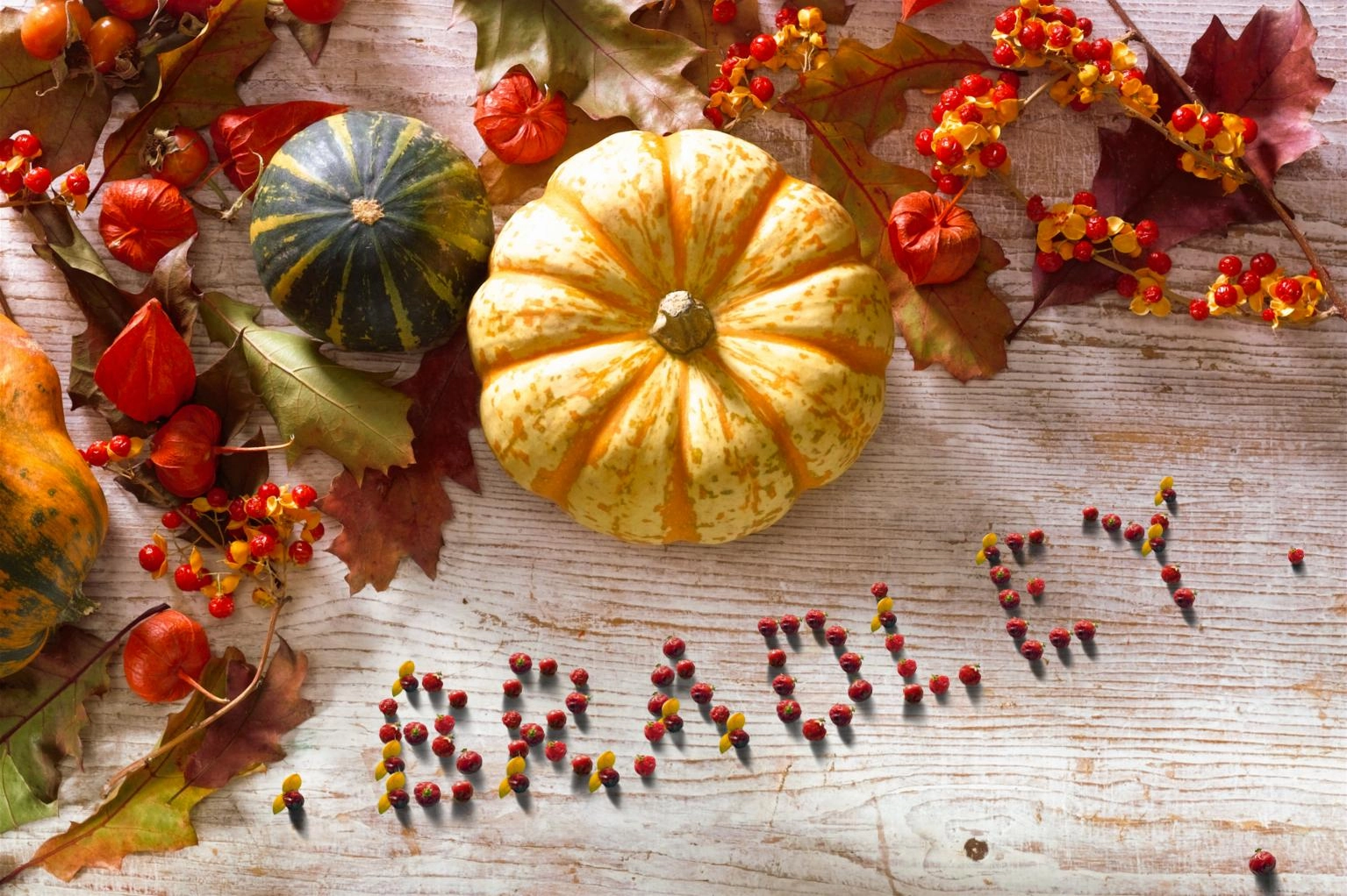 Fall Harvest - PAM341