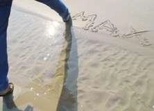 Beach Writing - PAM209