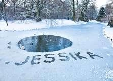 Frozen Lake - PAM308