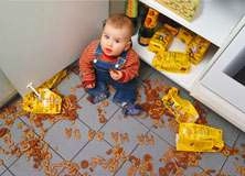 Toddler with Cookies - PAM101