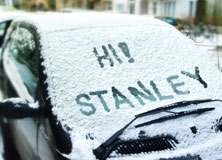 Snow Windshield- PAM001