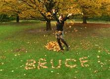 Fall Leaves - PAM009