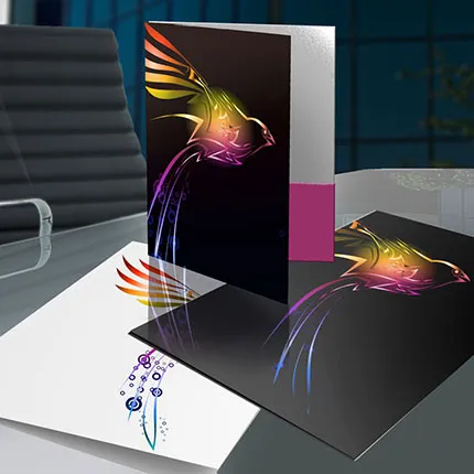 9" X 12" Pocket Folder 14 Point Stock 9x12 Pocket Folder 14pt Stock with colorful bird design, promotional product in black and pink